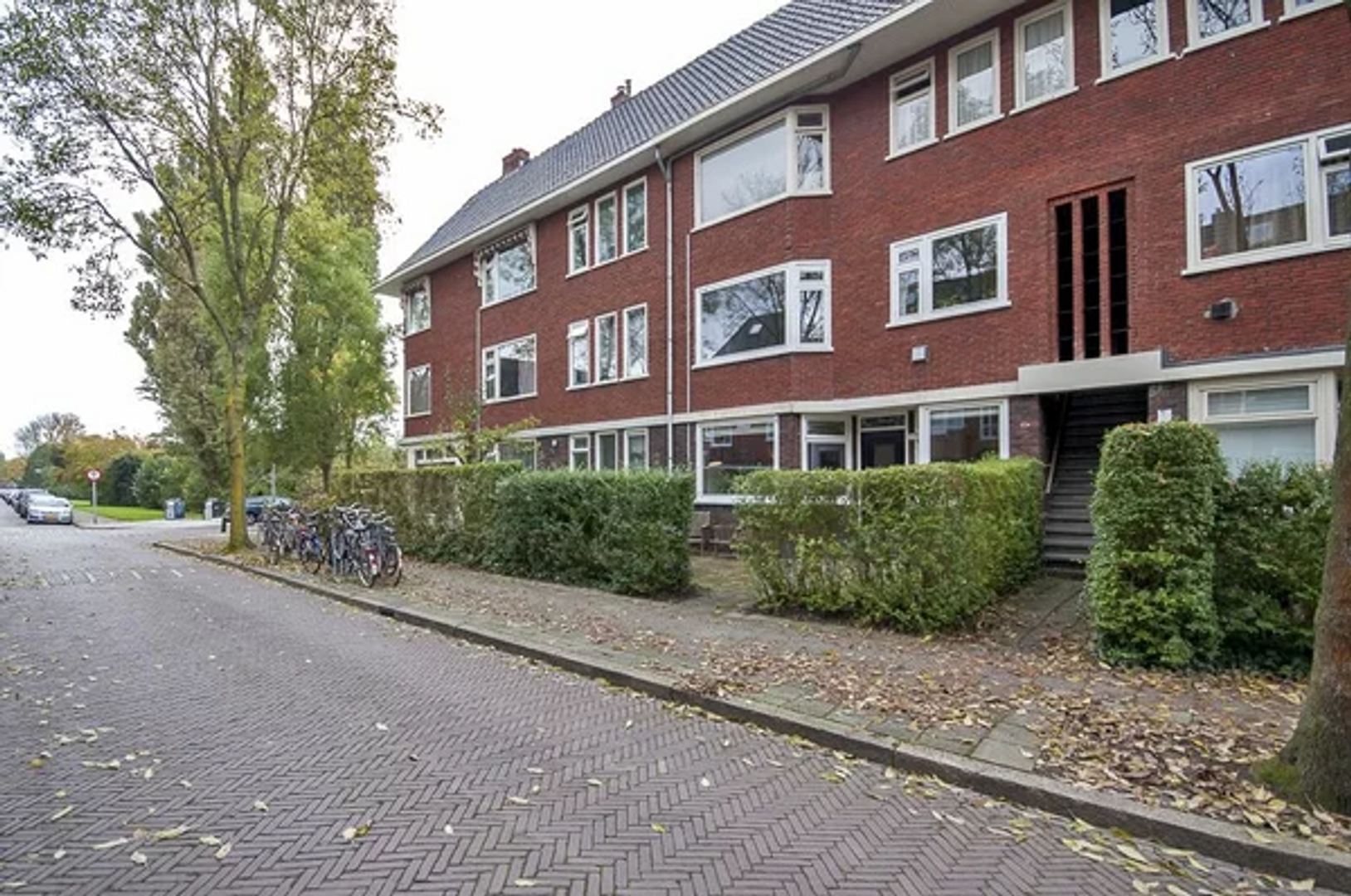 Een hert