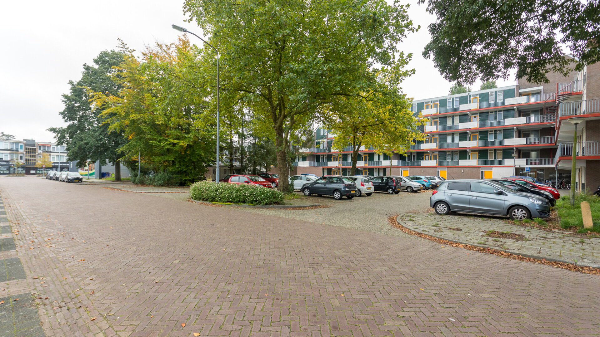 Een hert