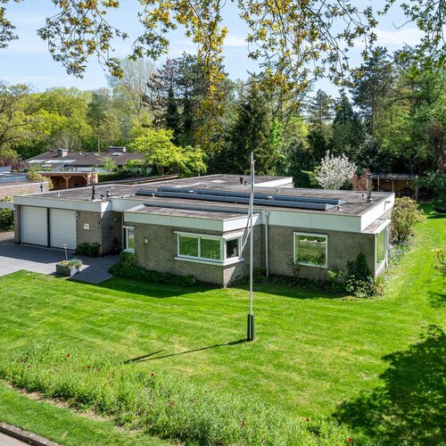 Steenkamp 5 HAREN GN