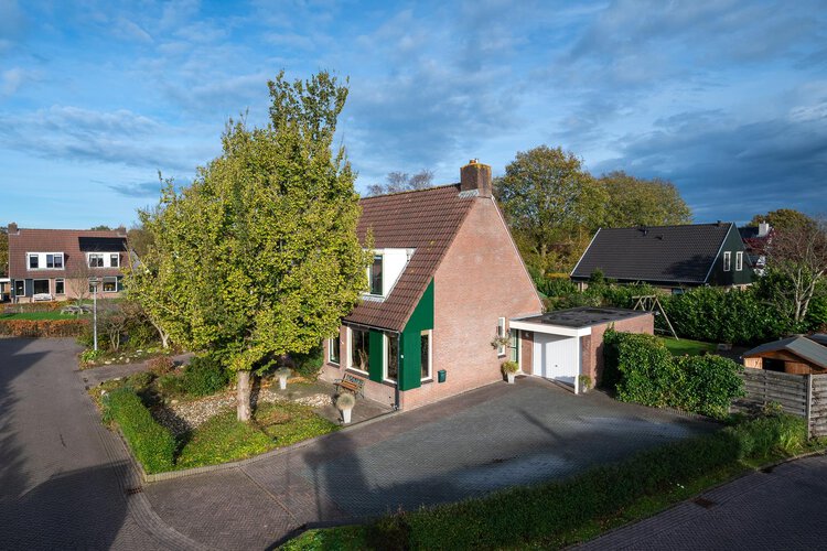 Boerhoorn 54 VRIES